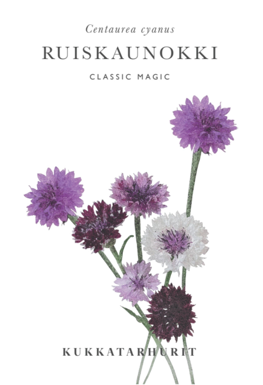 Ruiskaunokki Classic Magic