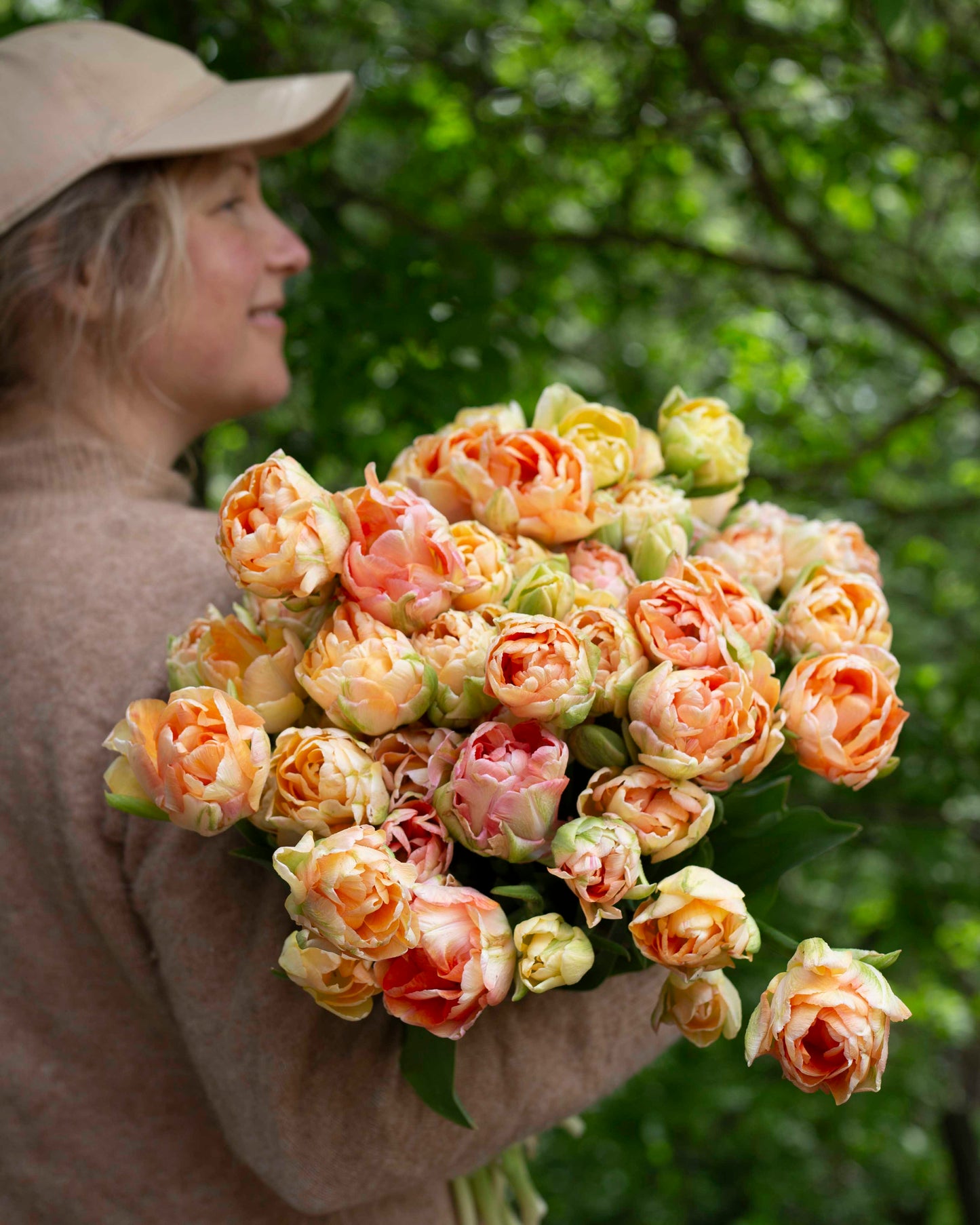 Kerrannainen tulppaani Charming Lady