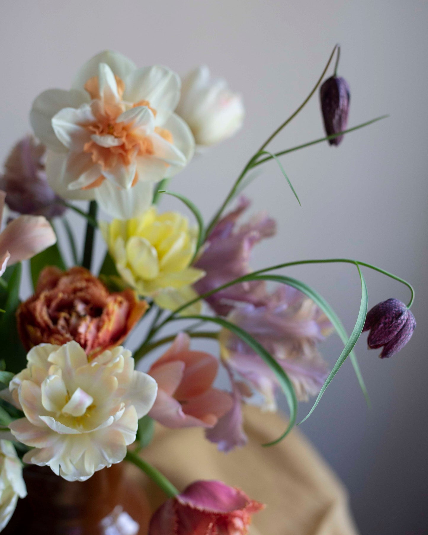 Kirjopikarililja Mix