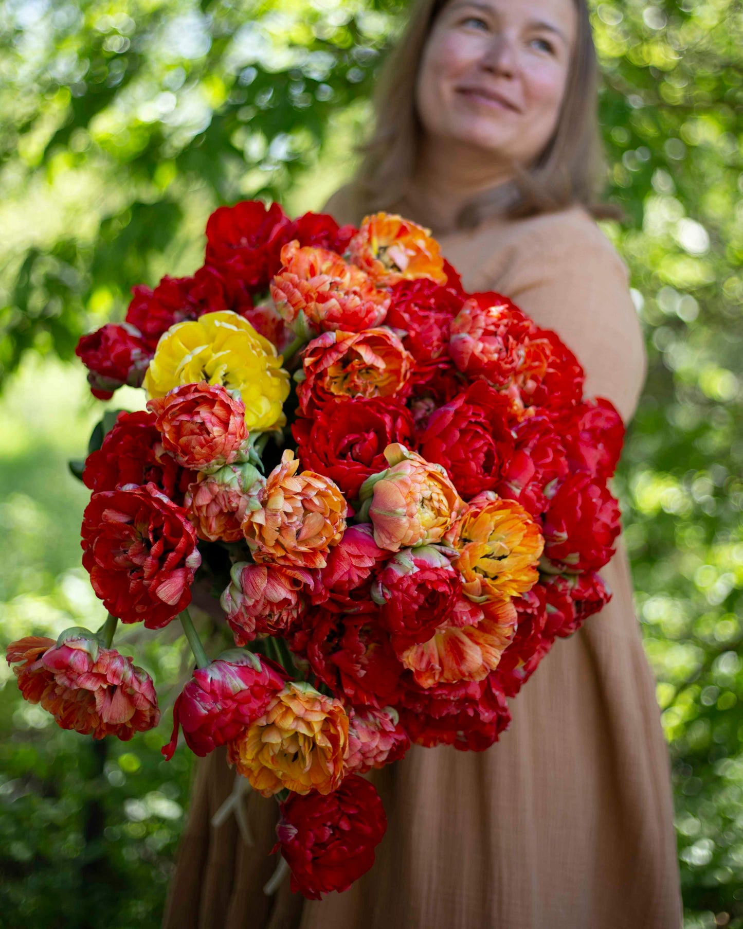 Kerrannainen tulppaani Gudoshnik Double