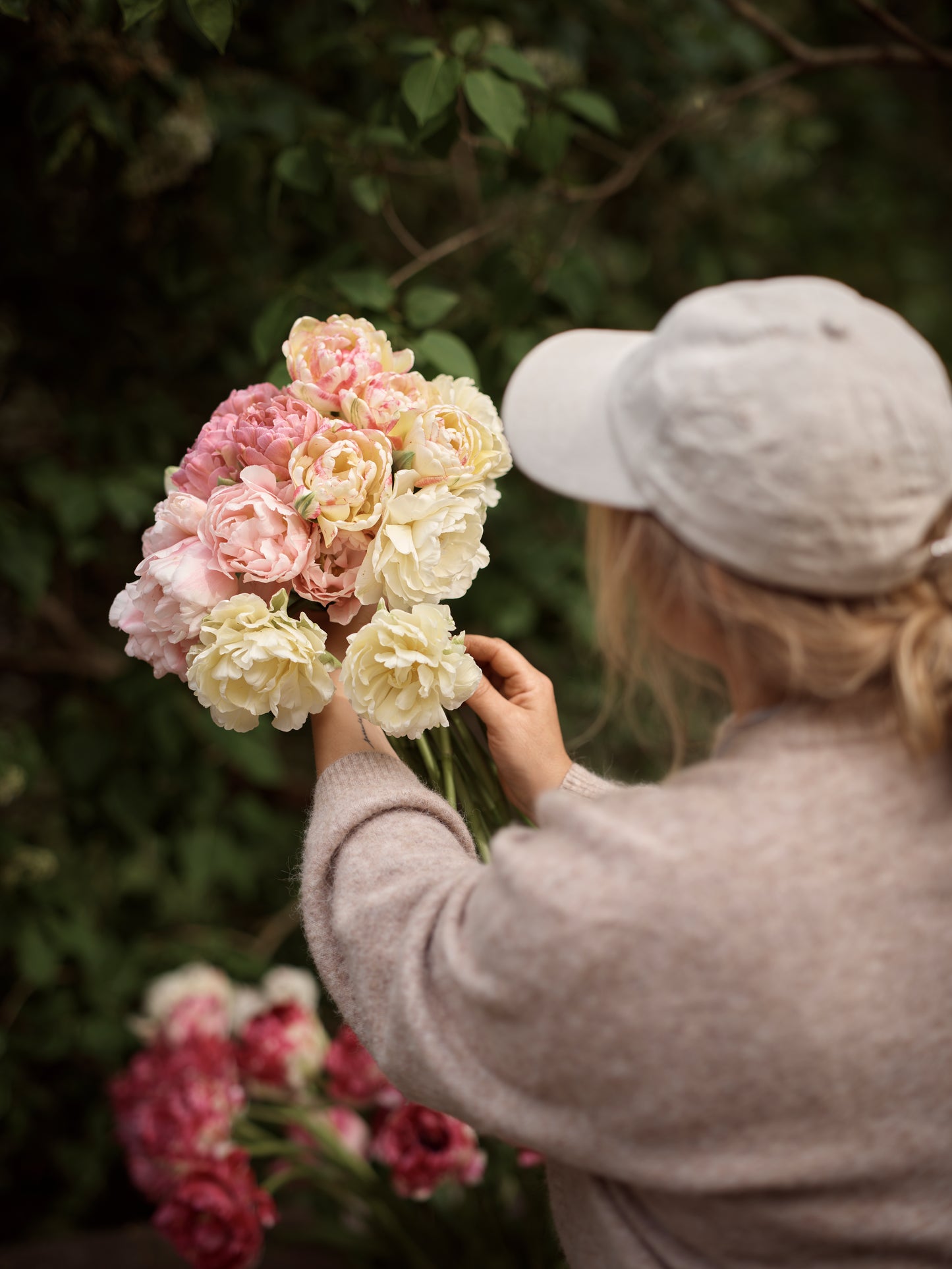 Kerrannainen tulppaani Avant Garde
