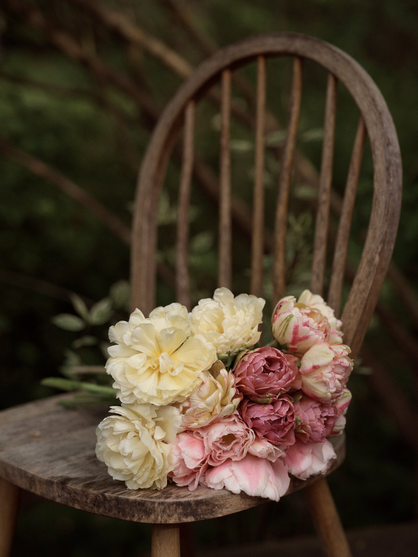 tulppaani Avant Garde tuolilla 2