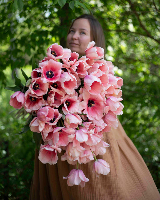 Yksinkertainen tulppaani Salmon Impression