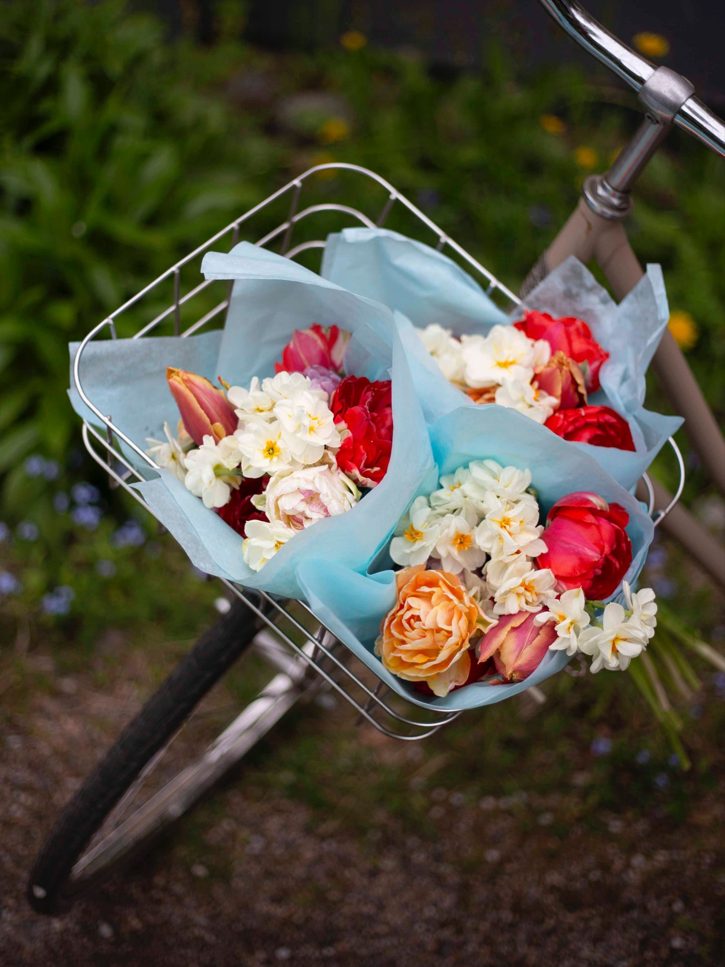 Narsissi Sir Winston Churchill