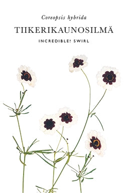 Tiikerikaunosilmä Incredible! Swirl