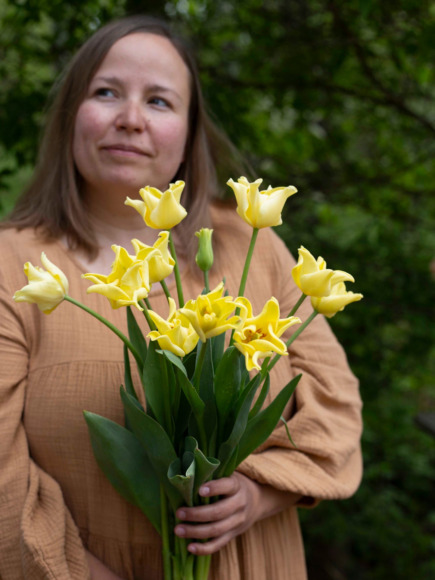 Tulppaani Yellow Crown