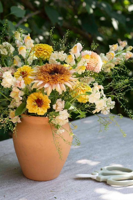 Siemensetti paahteisen aurinkoisissa sävyissä