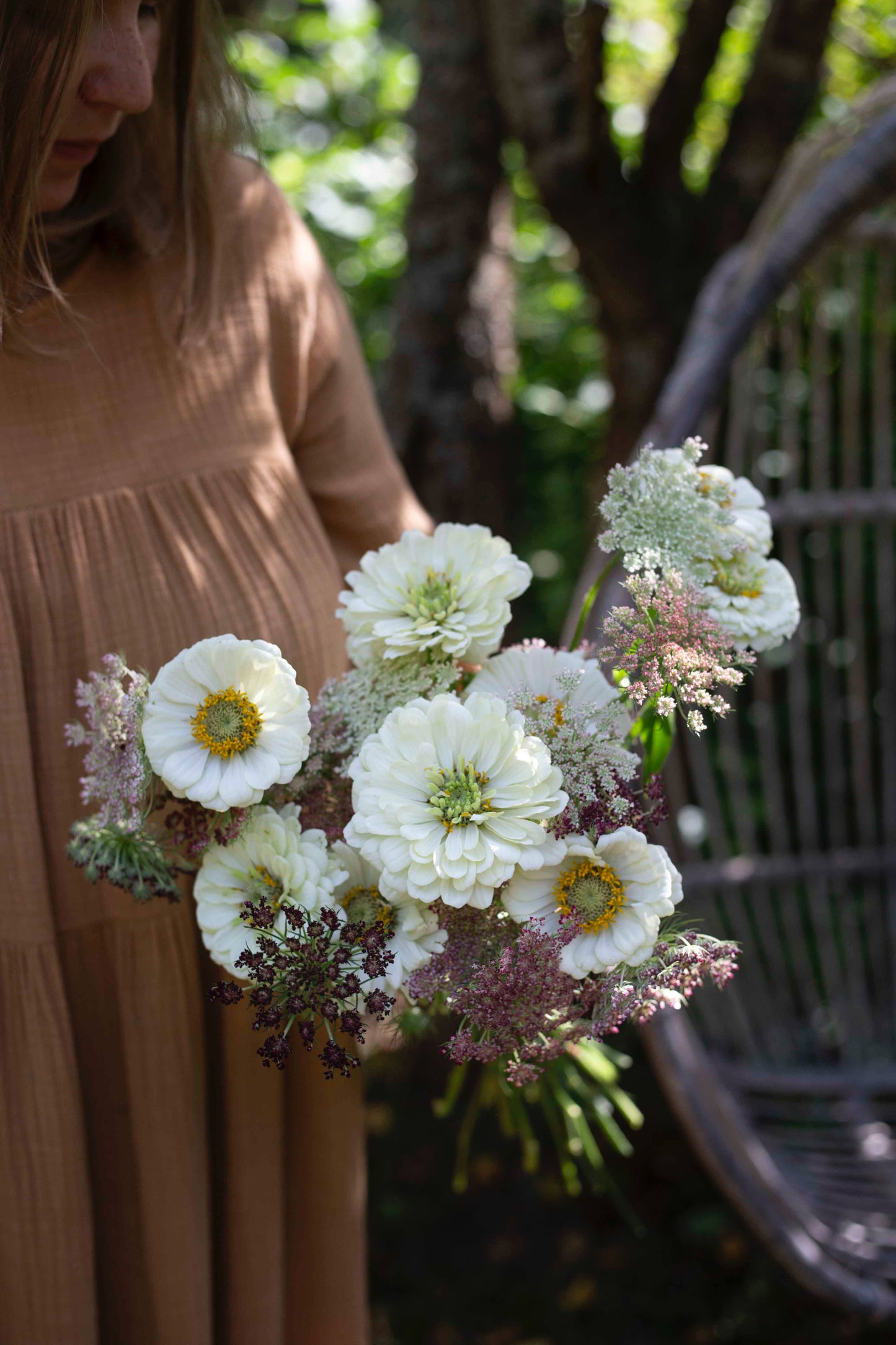 Isotsinnia Benary's Giant White