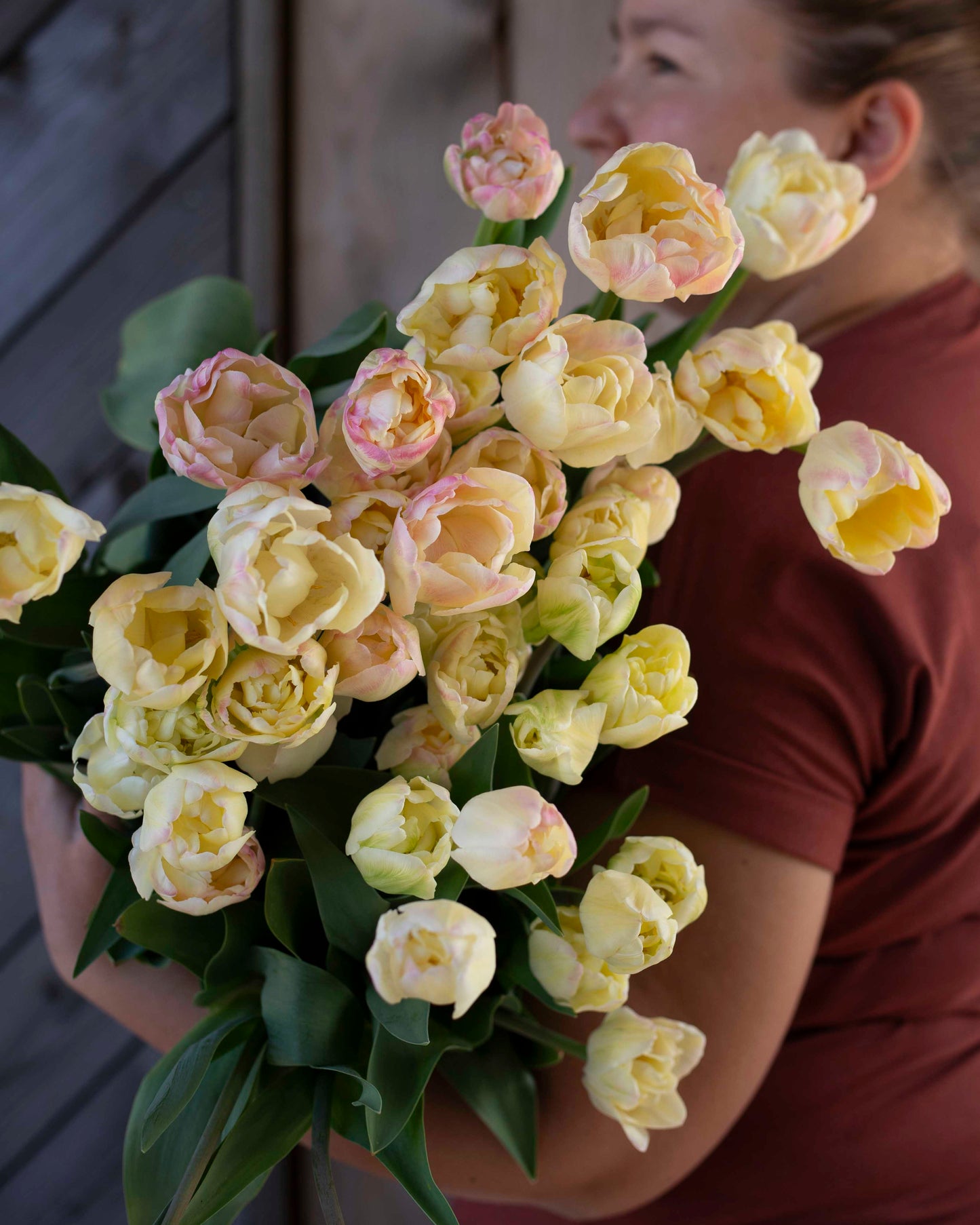 Kerrannainen tulppaani Creme Upstar