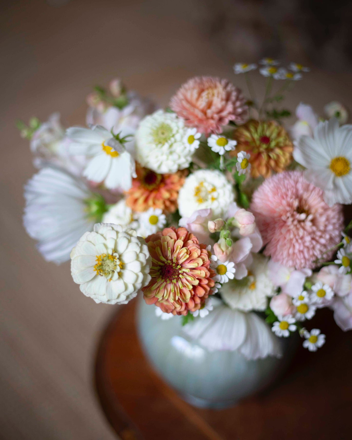 Grow-Along 2026 siemensetti