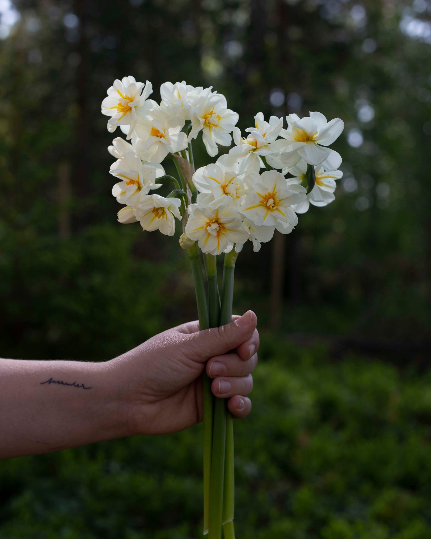 Narsissi Sir Winston Churchill