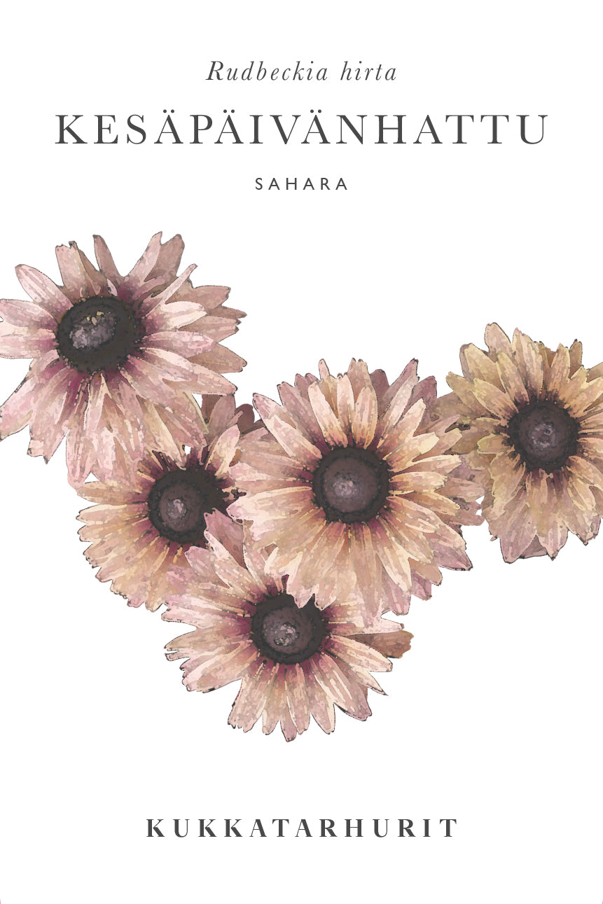 Kesäpäivänhattu Sahara