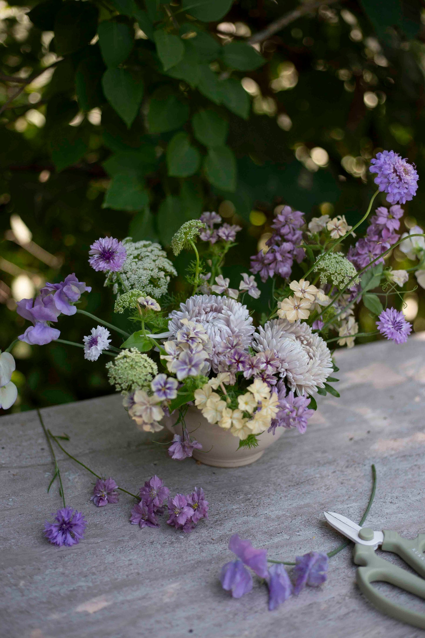 Ruiskaunokki Meadow mix