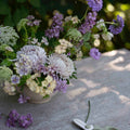 Lady Coral Lavender
