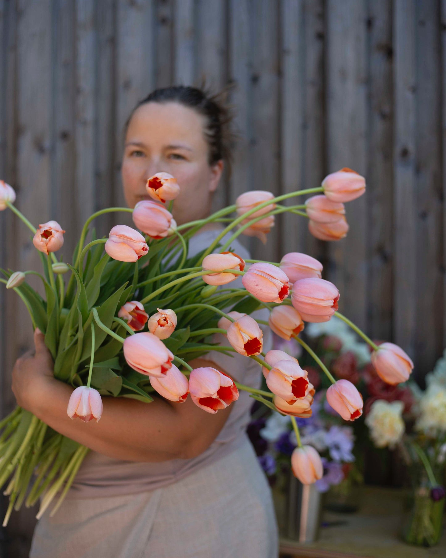 Ranskalainen tulppaani Menton