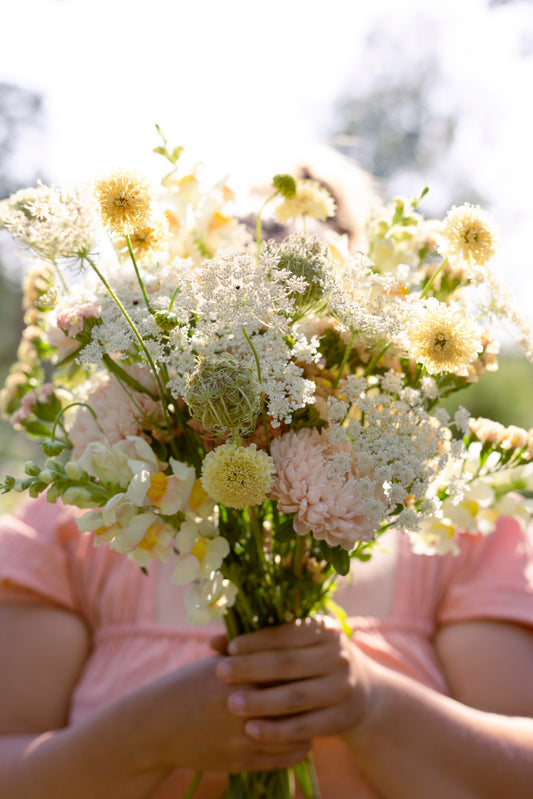 Siemensetti persikkaisissa sävyissä