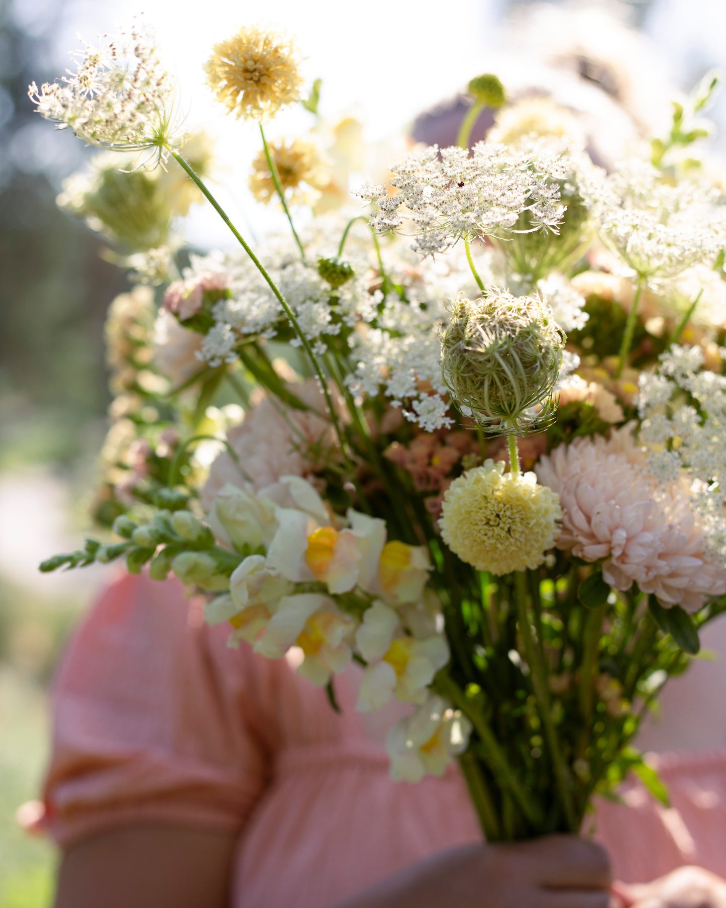 Siemensetti persikkaisissa sävyissä