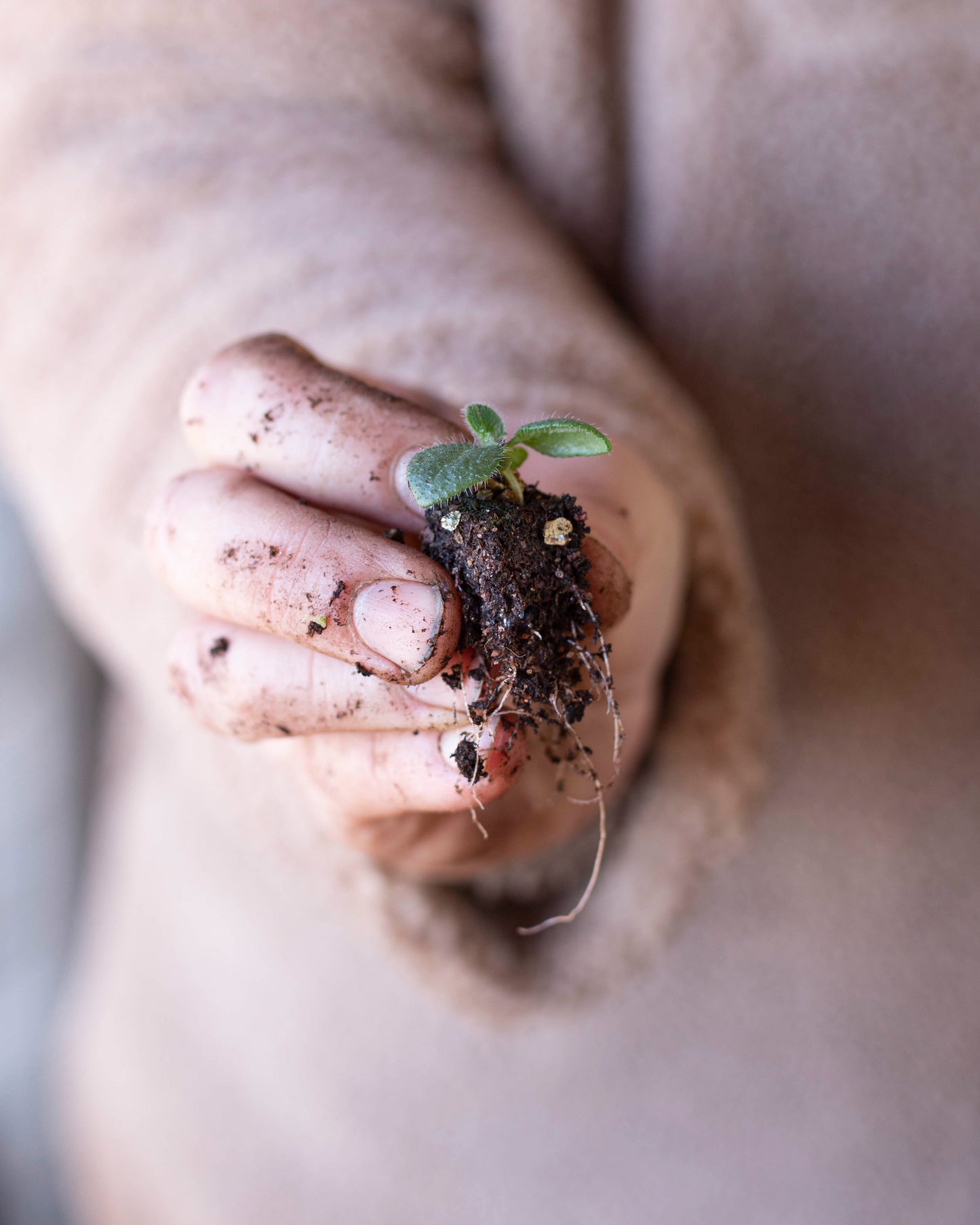 Soil Blocker -setti