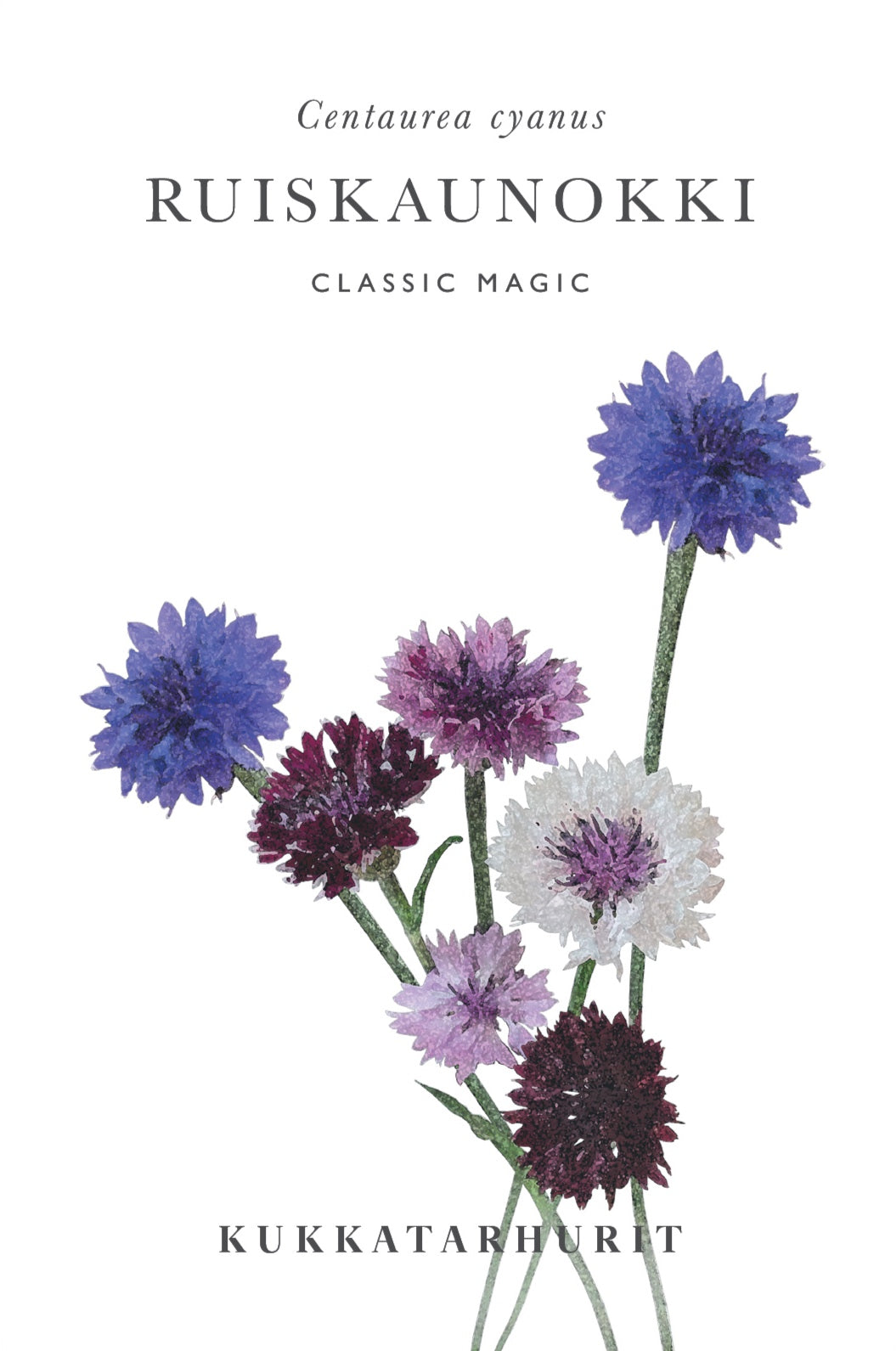 Ruiskaunokki Classic Magic
