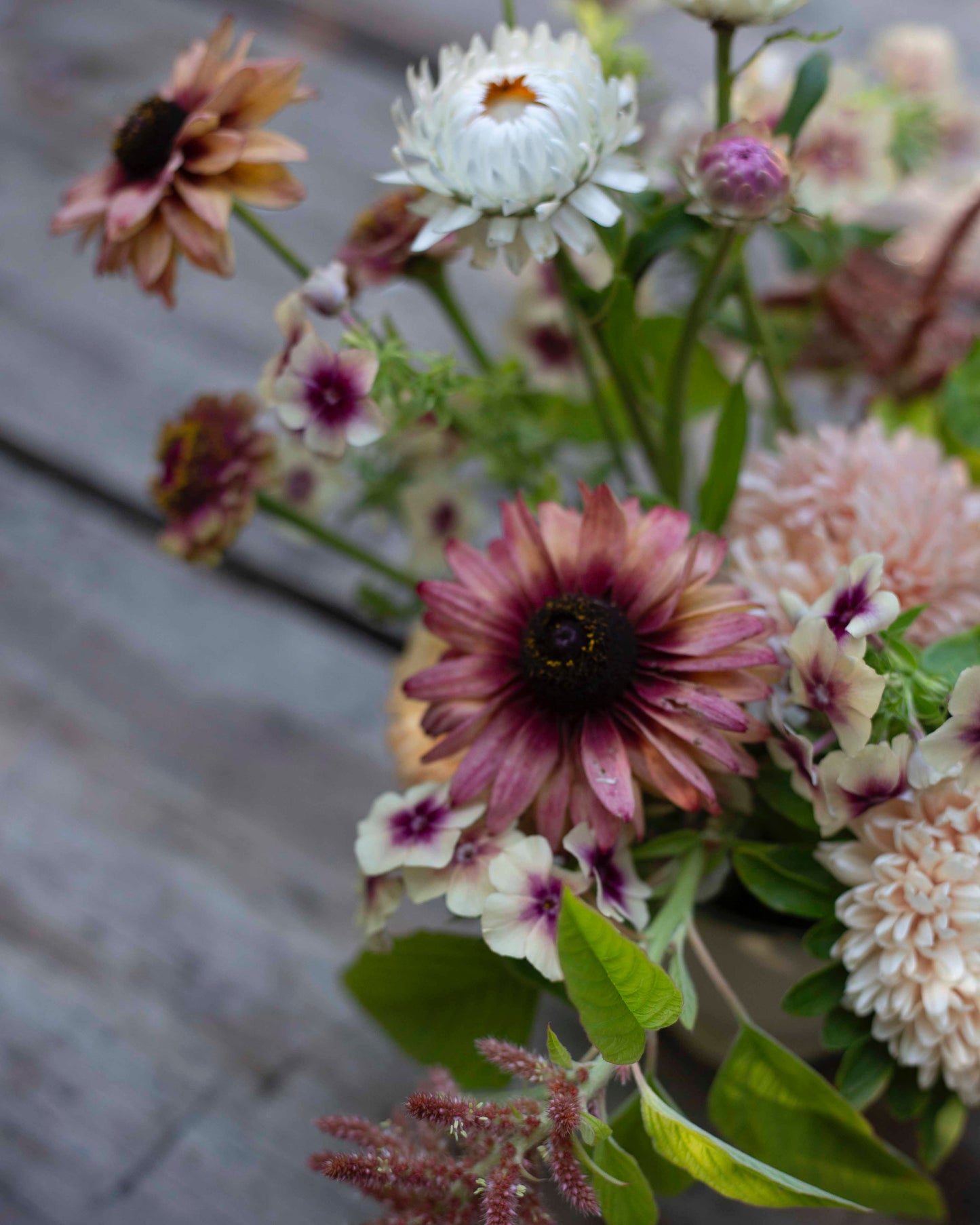 Siemensetti harmonisen punertavissa sävyissä