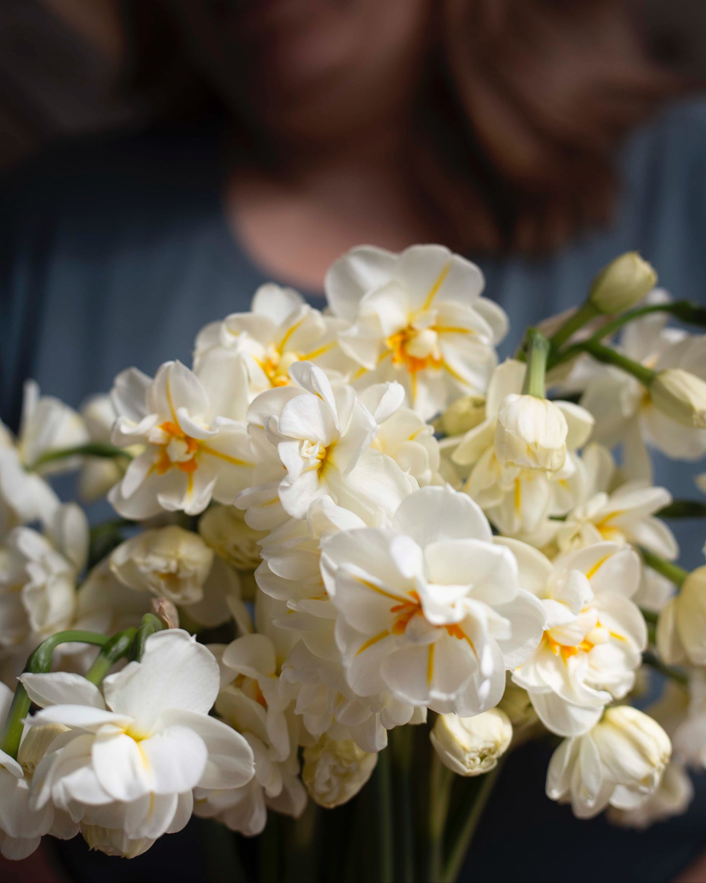 Narsissi Sir Winston Churchill