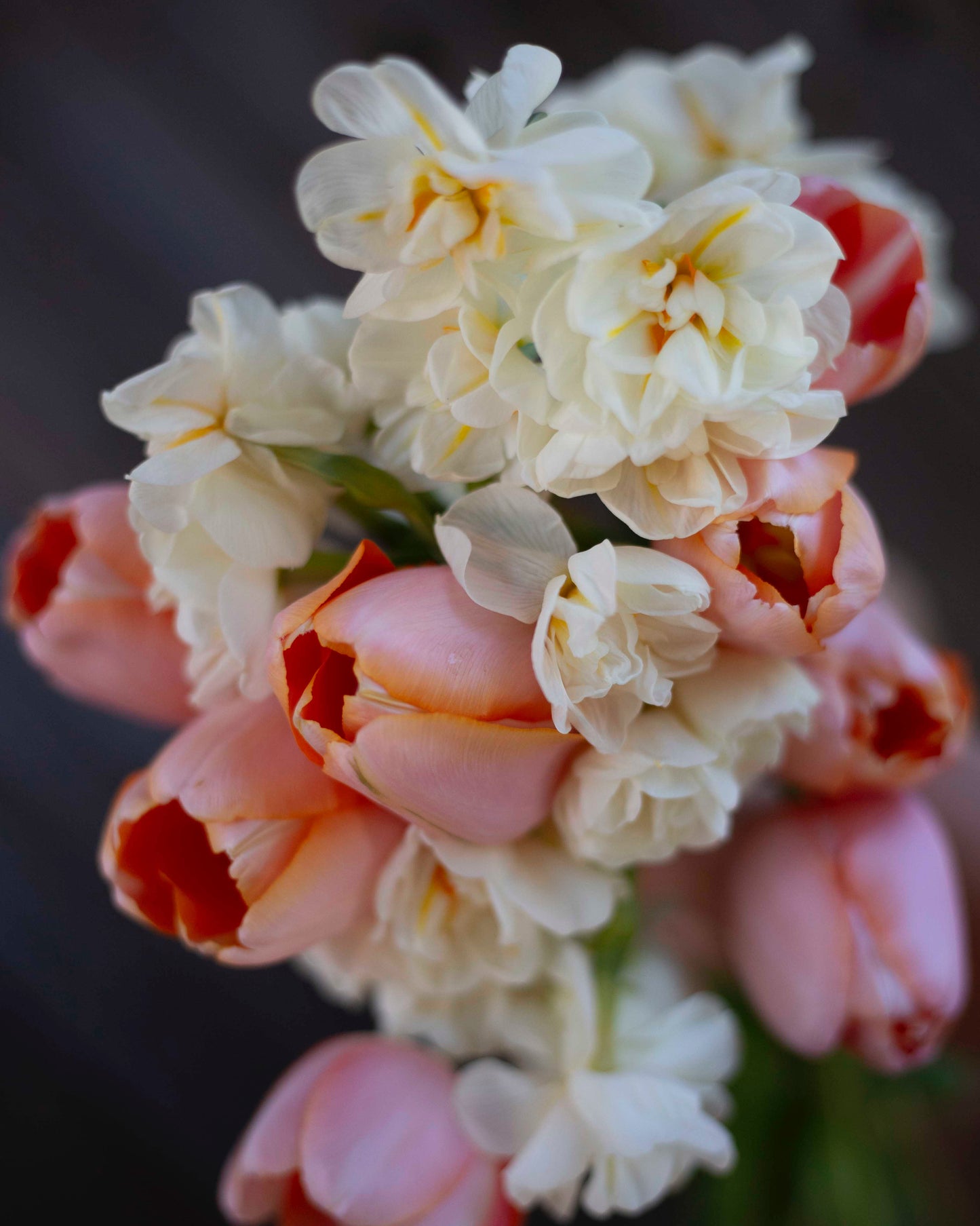 Narsissi Sir Winston Churchill