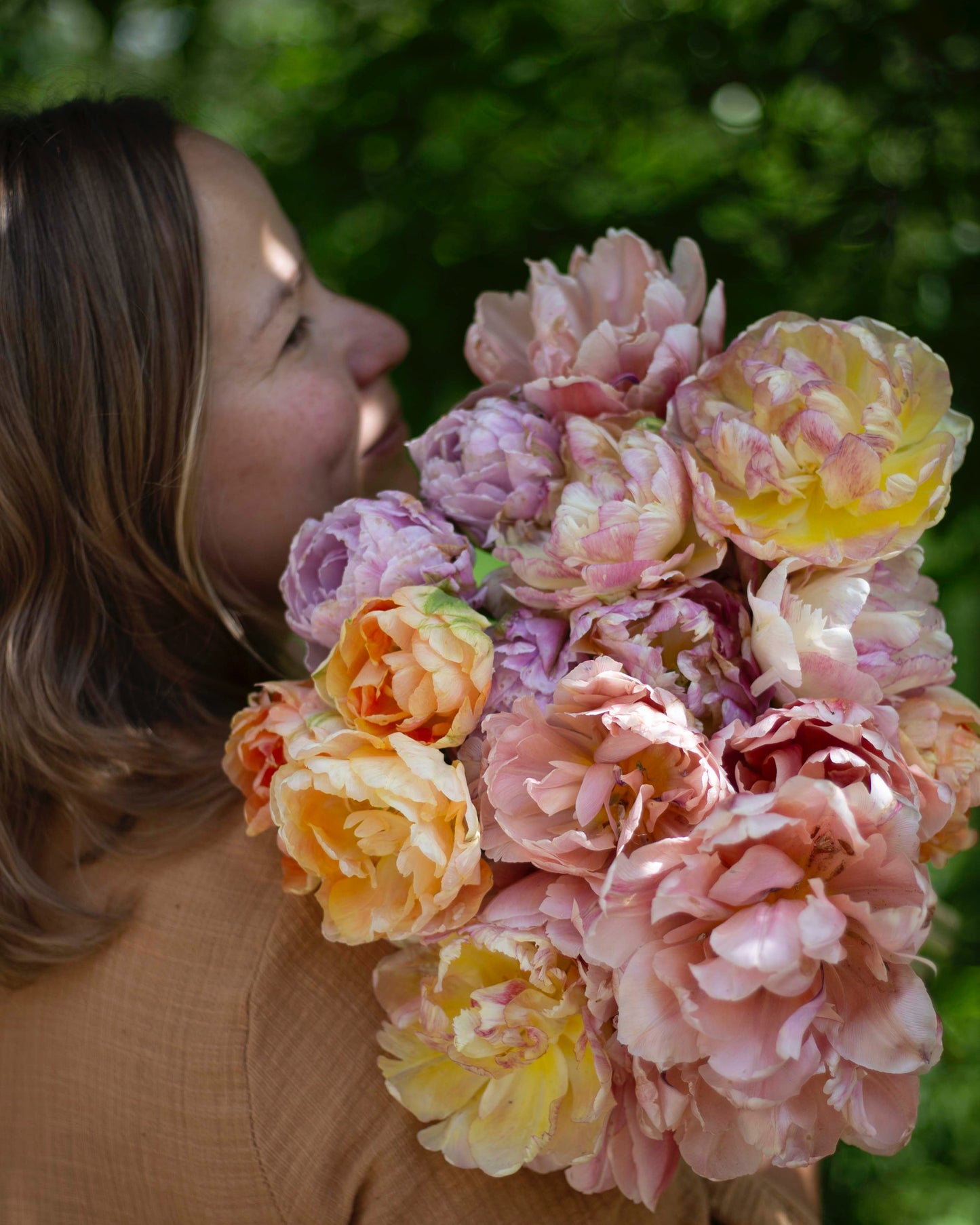 Kerrannainen tulppaani Charming Lady