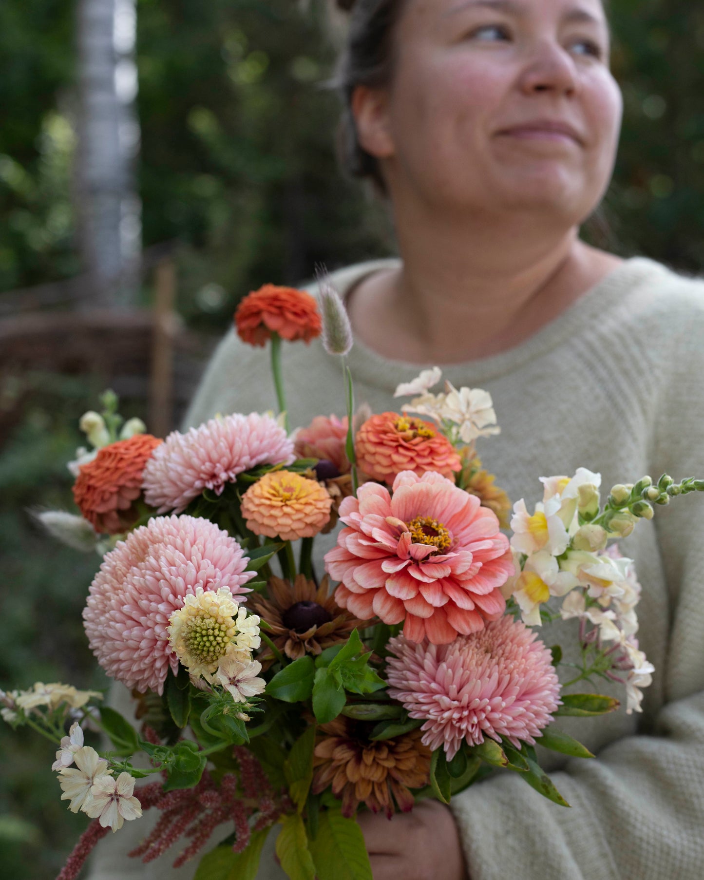 Isotsinnia Benary's Giant Salmon Rose