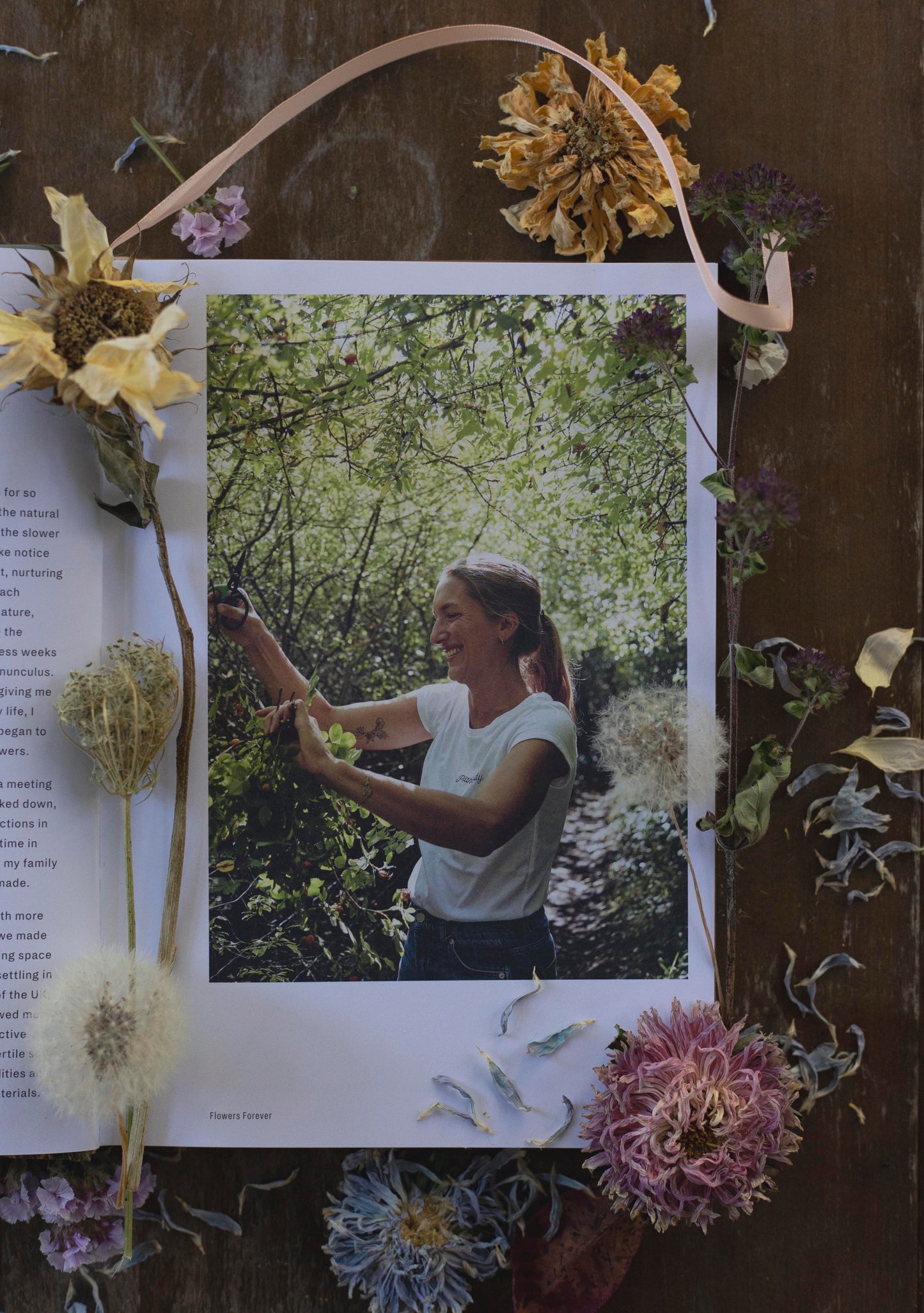 Flowers Forever - Bex Partridge kuivakukkataiteilija