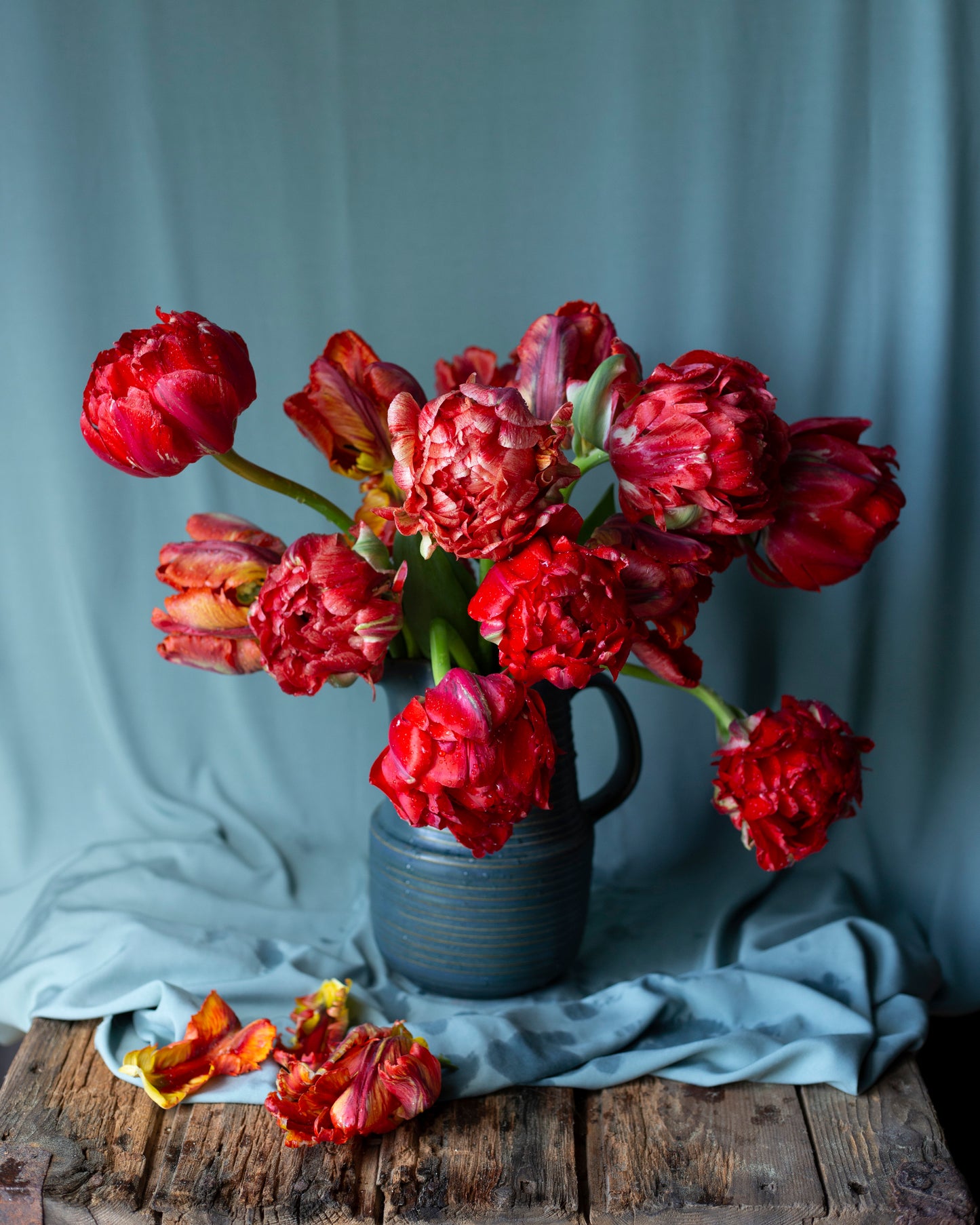 Kerrannainen tulppaani Gudoshnik Double