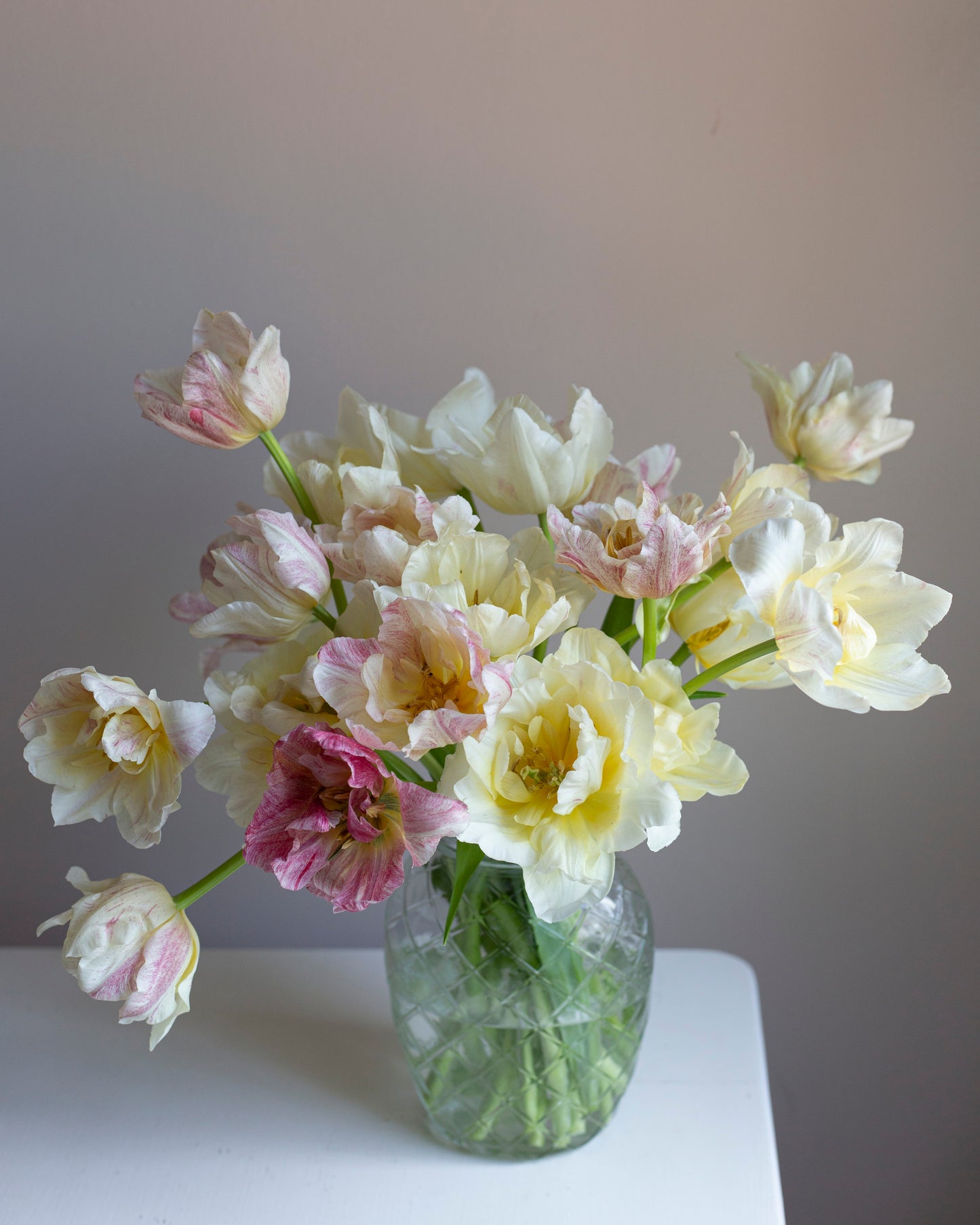 Kerrannainen tulppaani Silk Road