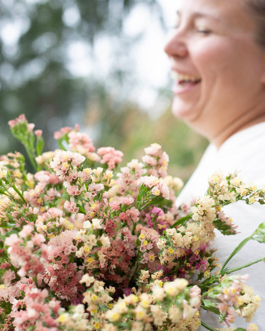 Ikiviuhko QIS® Apricot