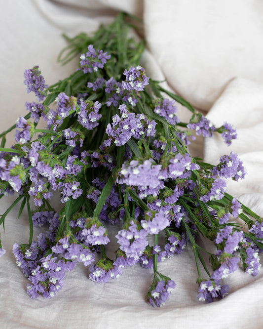 Ikiviuhko QIS® Lavender