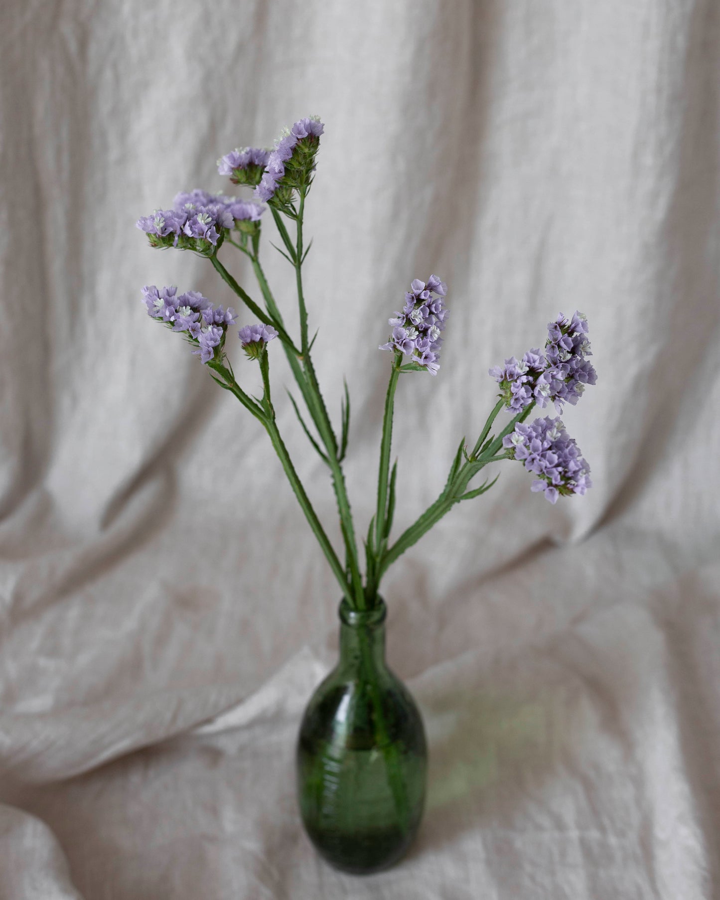 Ikiviuhko QIS® Lavender