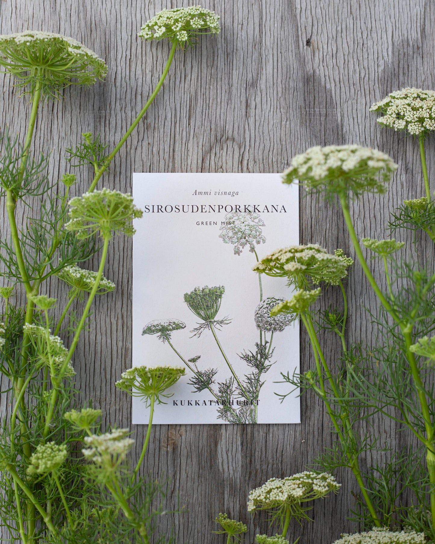 Sirosudenporkkana Green Mist