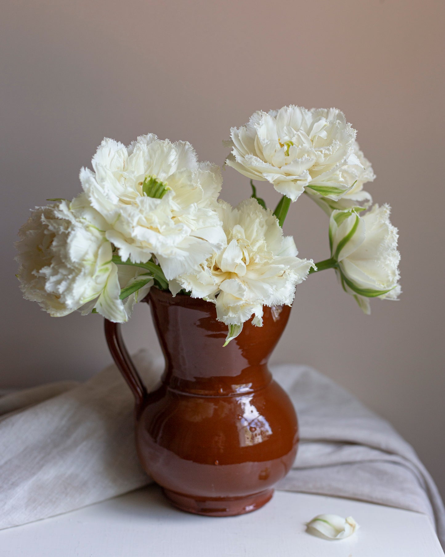 Kerrannainen ripsureunainen tulppaani Snow Crystal