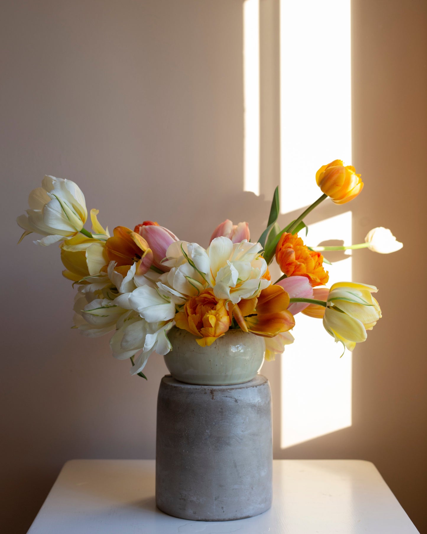 Kerrannainen tulppaani Akebono