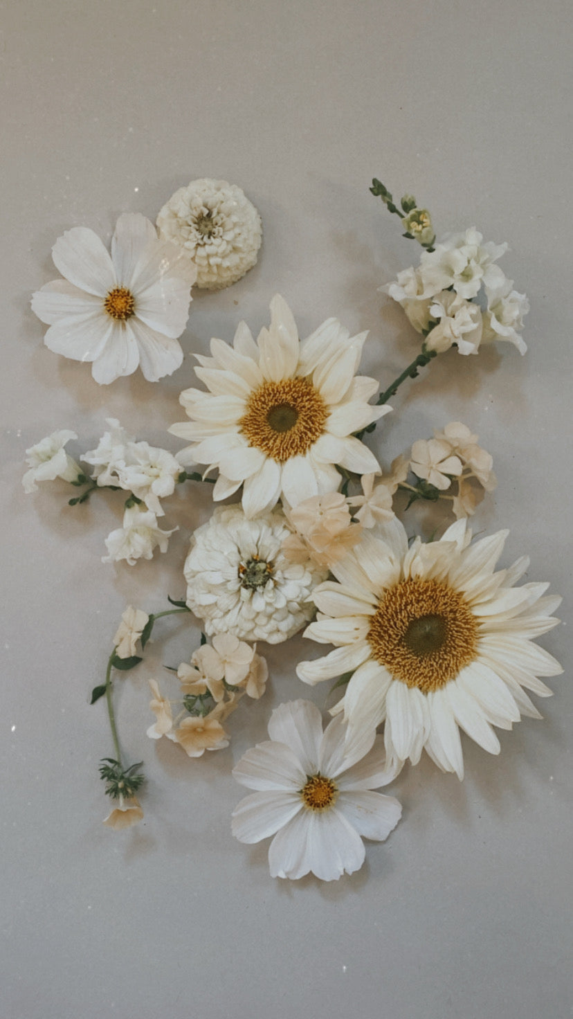 Almost White