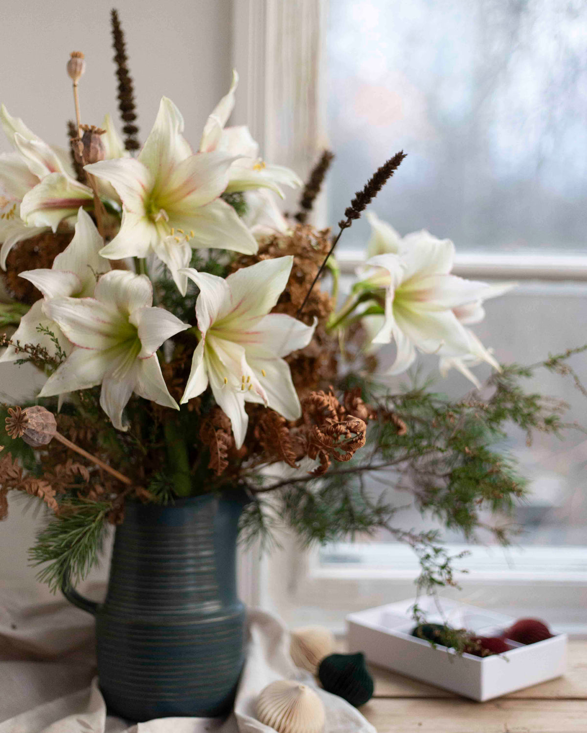 Amaryllis Green Magic®