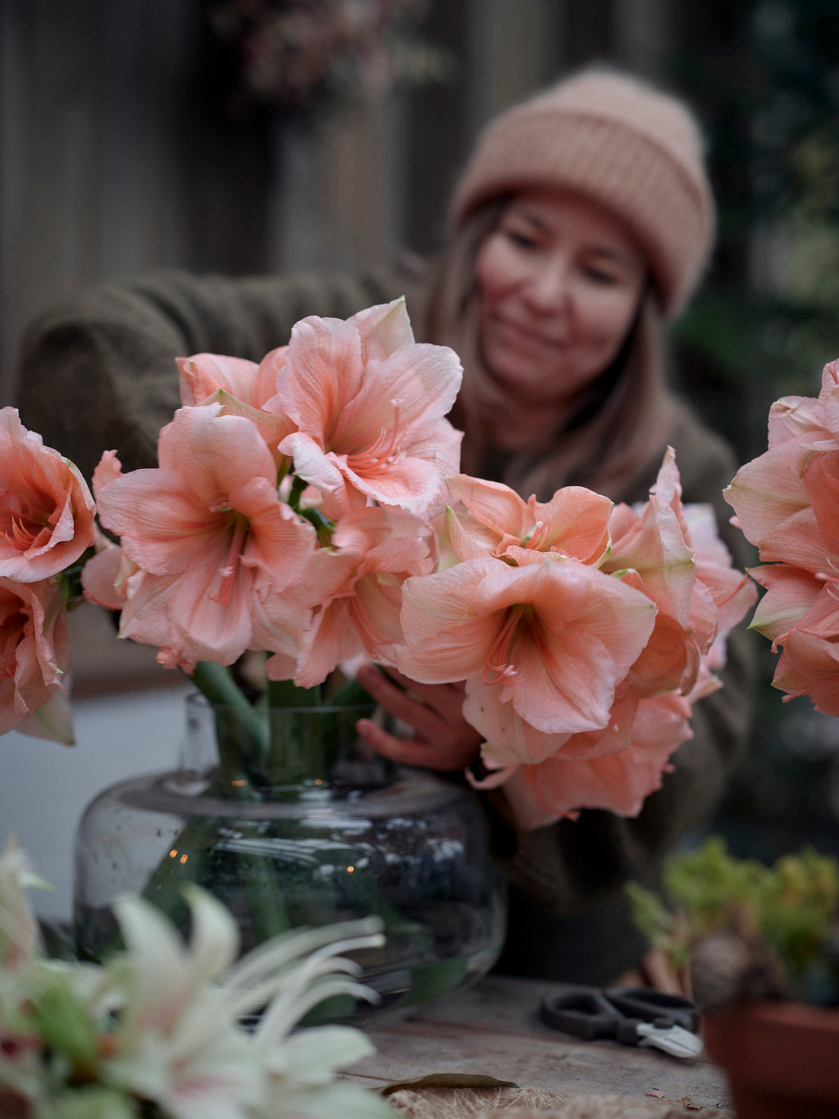 Amaryllis Rilona