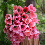 Bella Blush