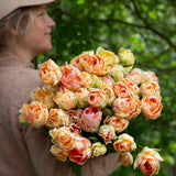 Charming Lady