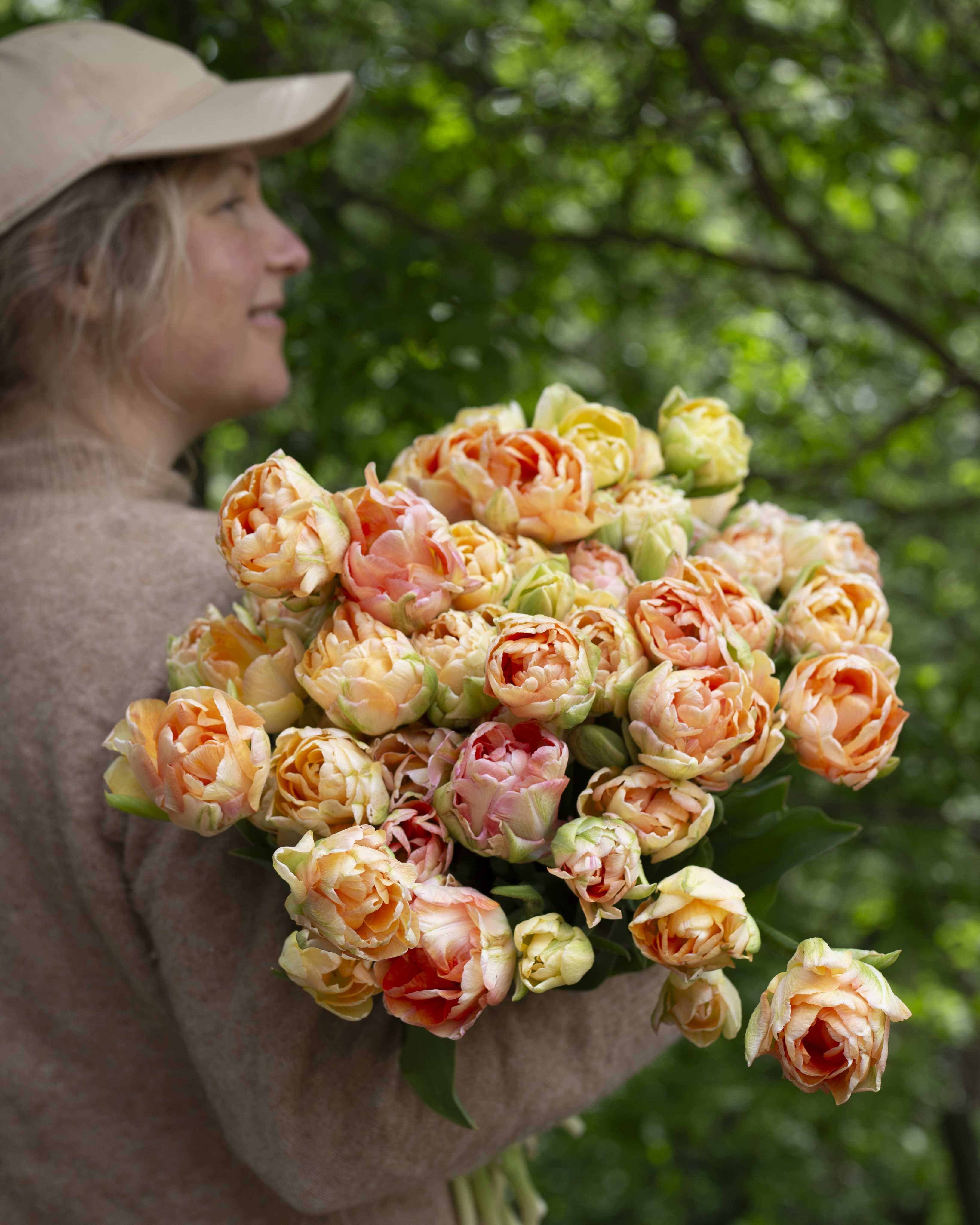 Kerrannainen tulppaani Charming Lady