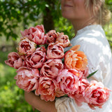 Coral Blush