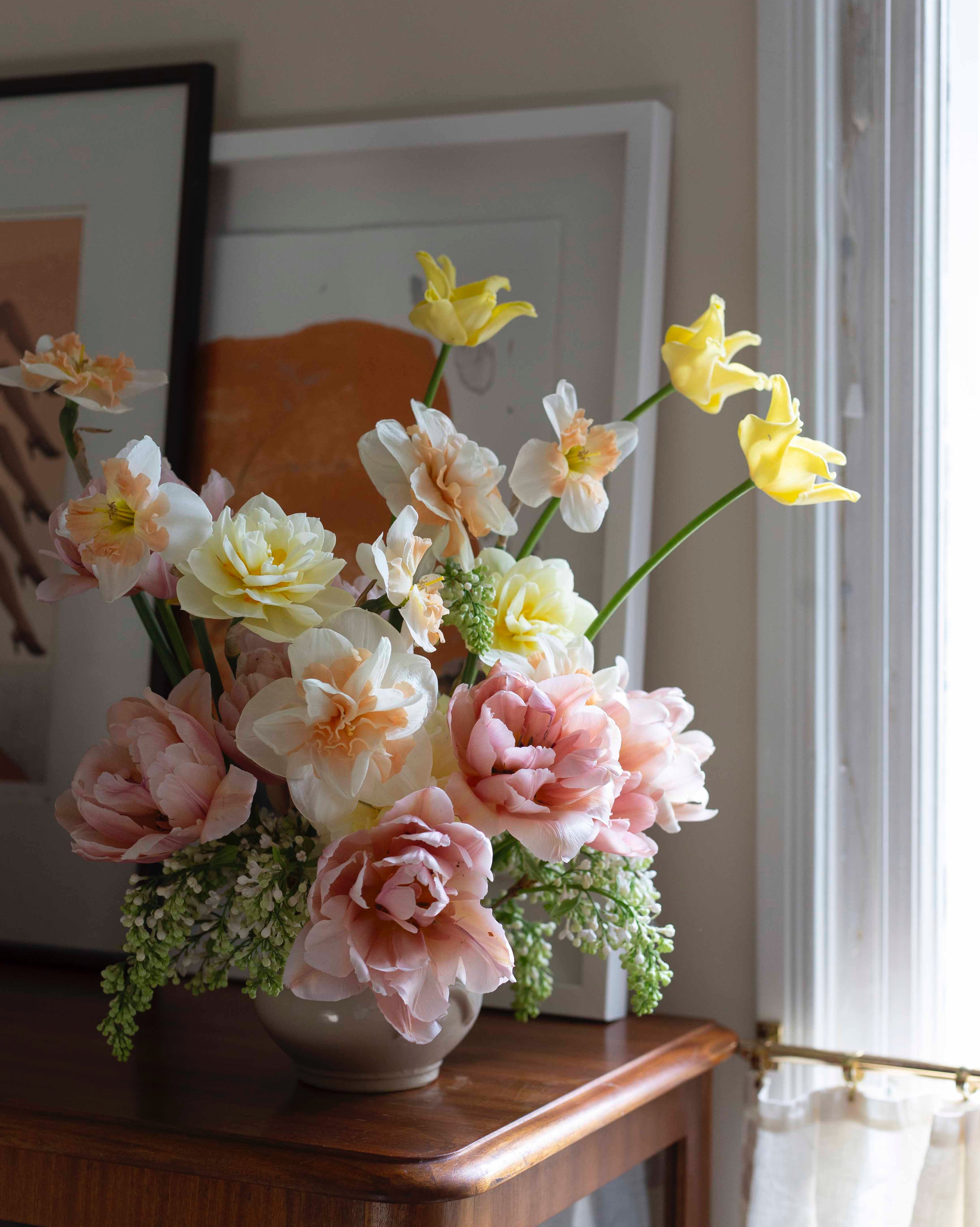 Kerrannainen tulppaani Coral Blush