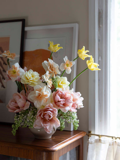 Kerrannainen tulppaani Coral Blush