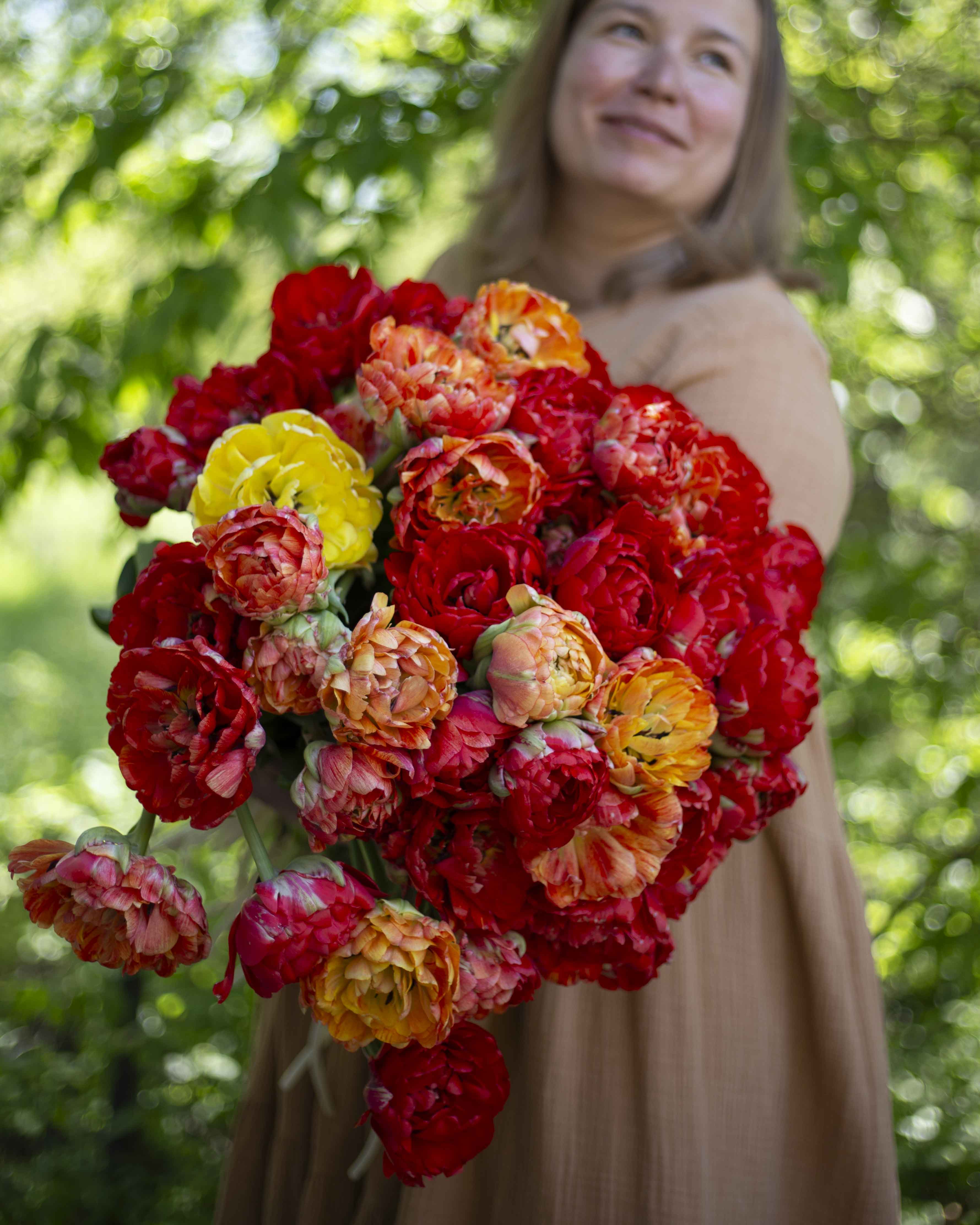 Kerrannainen tulppaani Gudoshnik Double