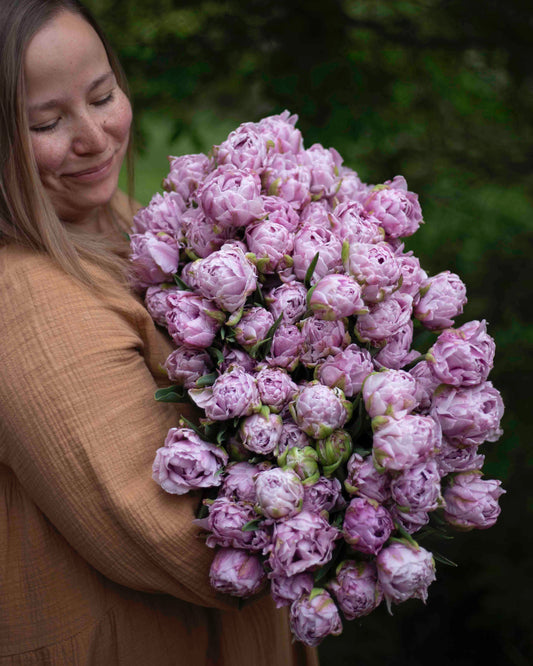 Kerrannainen tulppaani Katinka