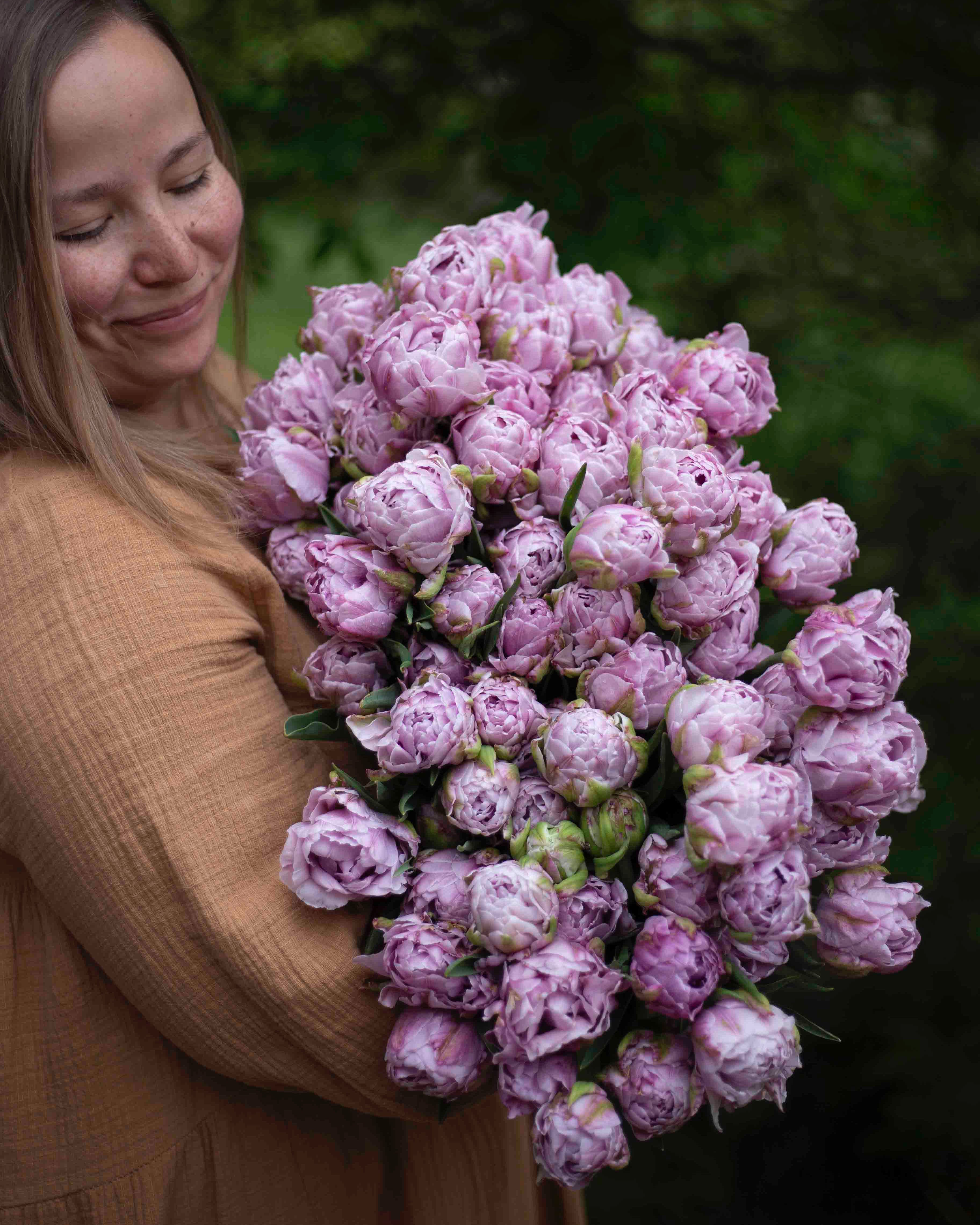 Kerrannainen tulppaani Katinka