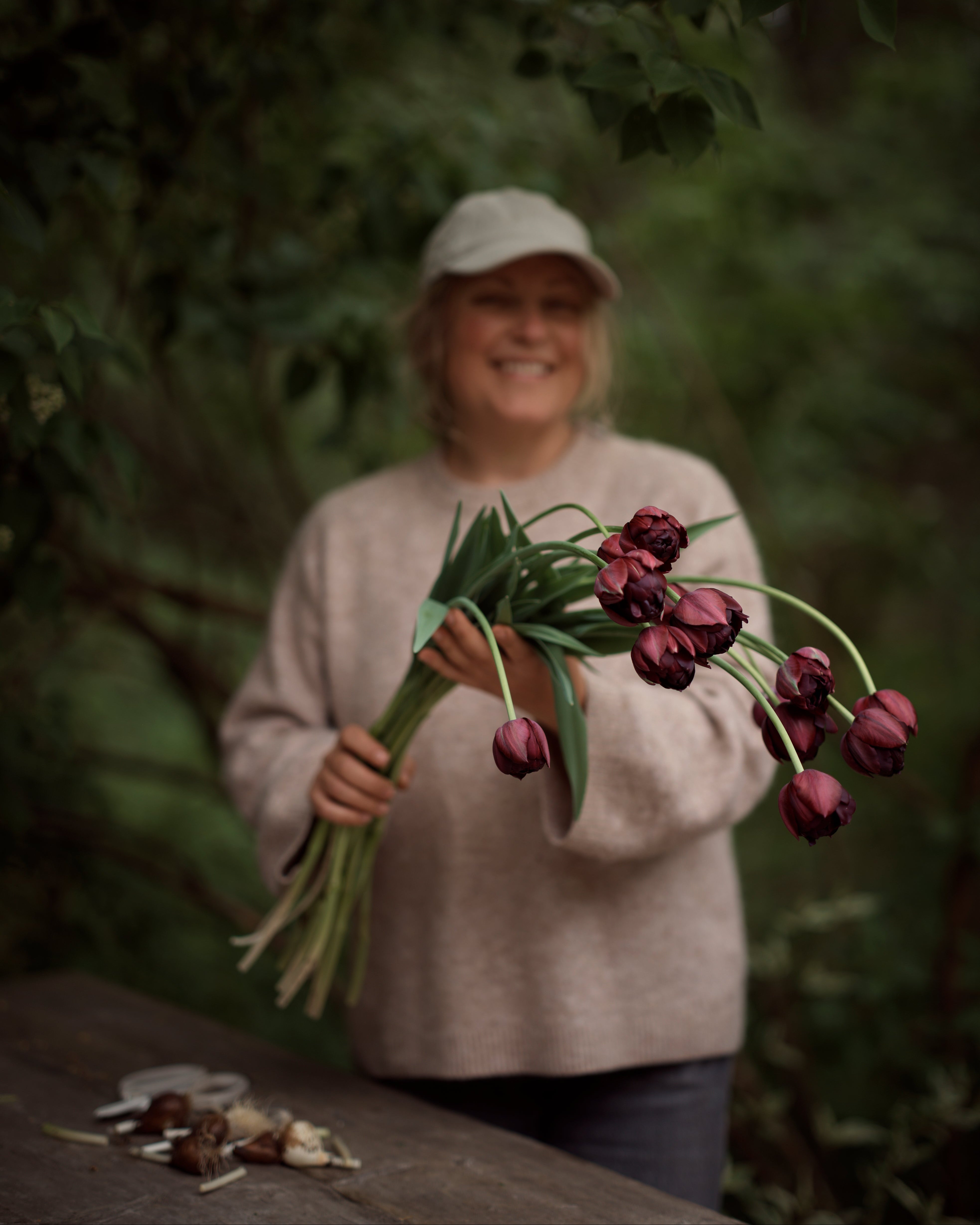 Kerrannainen tulppaani Black Hero